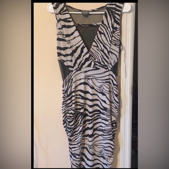 🔆SOLD🔆 Zebra print fitted dress - Picture 1 of 3